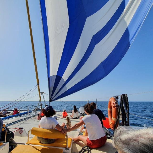 organiser-venir-en-bateau-au-depart-de-quiberon-en-saison-iliens-640x640